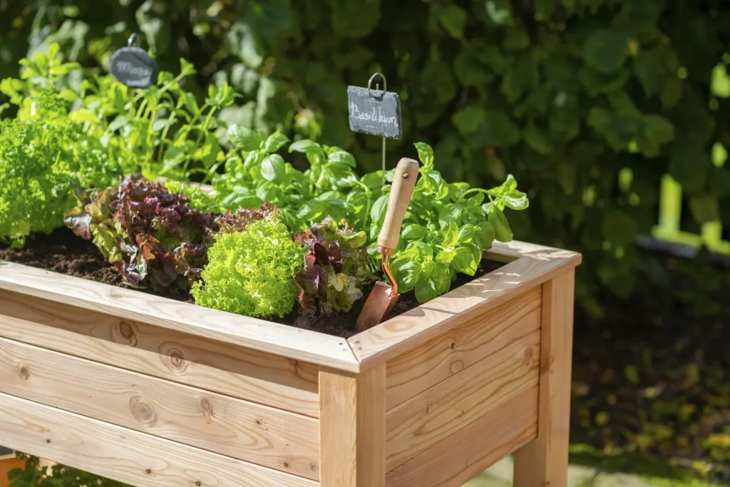 Westmann verhoogde moestuinbak Emily met bodem