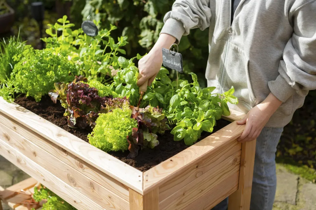 Westmann verhoogde moestuinbak Emily met bodem