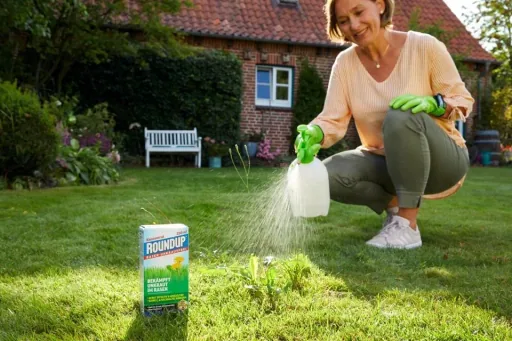 Lawn weed-free concentrate - with root-deep effect