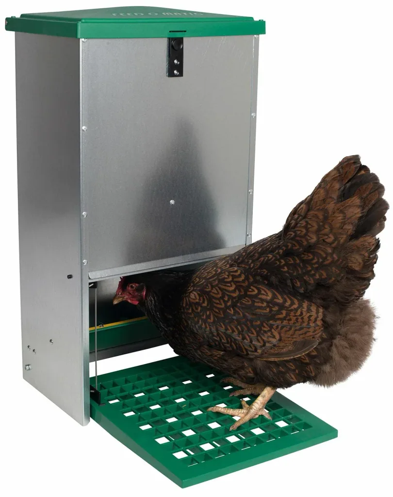 Poultry feeder with step plate for 5 kg feed