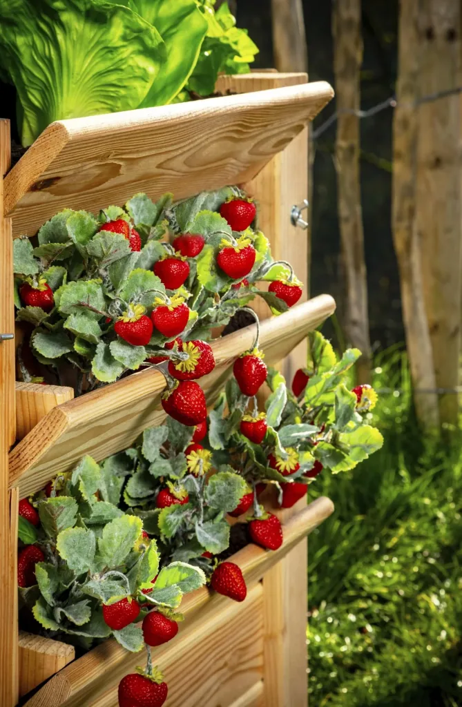 Westmann Premium Verhoogde Tuinbak L, 65 x 65 x 73 cm