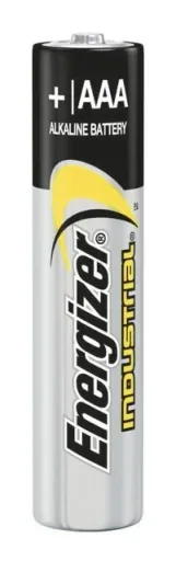 Industrial Micro (AAA) Alkaline Batteries - 10 pieces