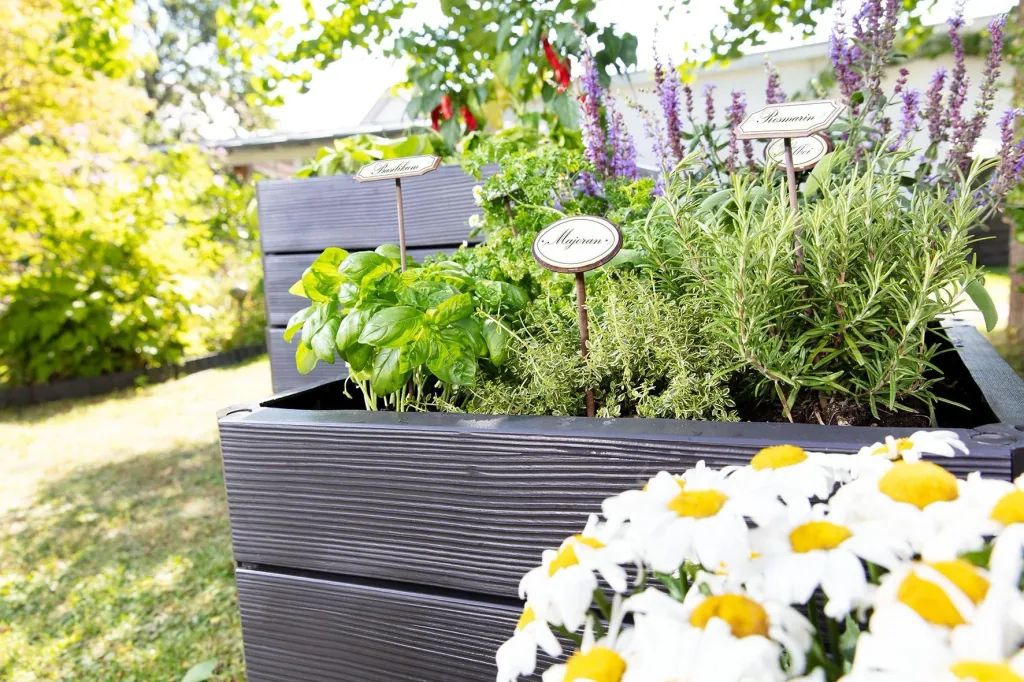 Ergo Quadro S raised bed system anthracite, height: 25 cm, 60 x 60 cm