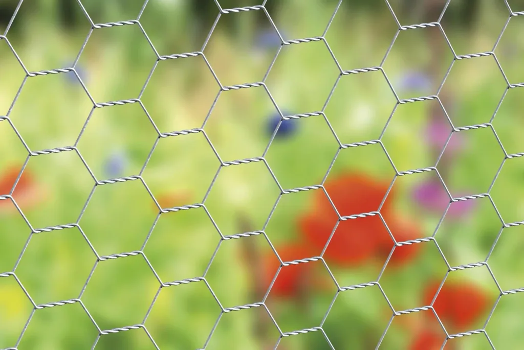 Hexagonal mesh galvanized, 50cm x 25m, 25x25mm, 0.8mm