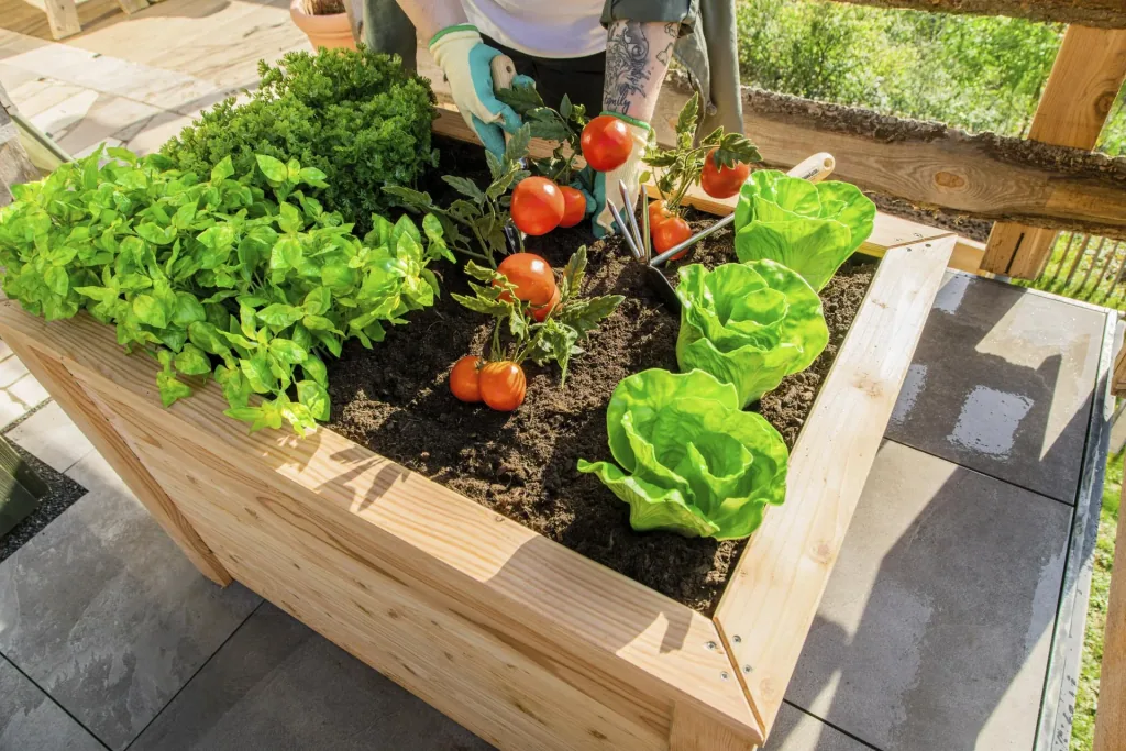 Verhoogde moestuinbak Klassik 100, 100×65×66 cm, Natuur – FSC-larikshout, rugvriendelijk