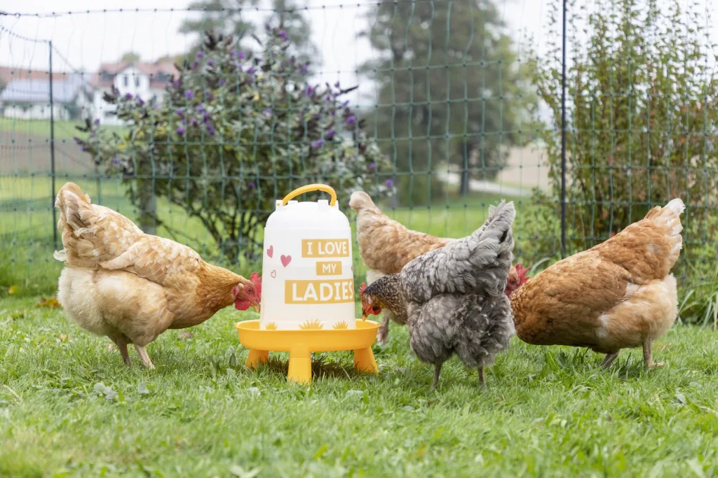 Plastic drinking trough 5 liters