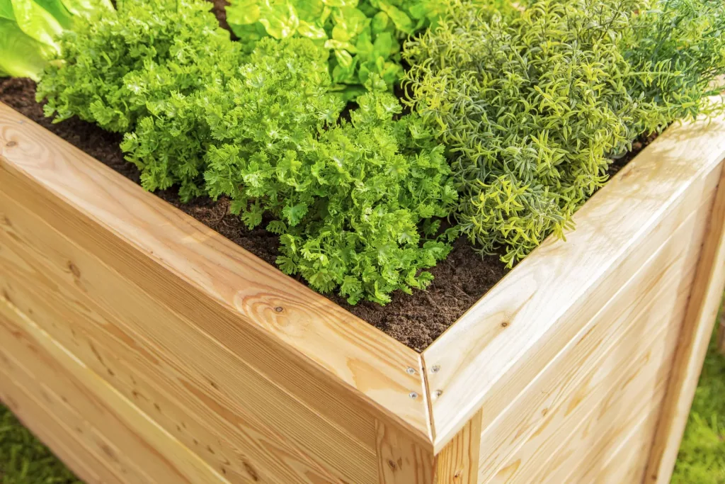 Verhoogde moestuinbak Klassik 130, 130×65×84 cm, naturel – FSC-larikshout, rugvriendelijk