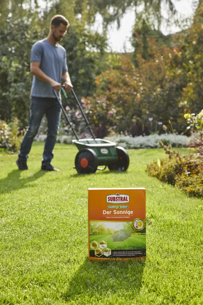 Lawn seed "The Sunny" - 1.125 kg