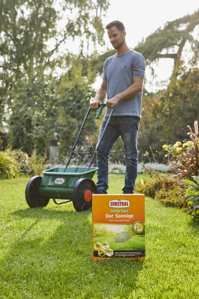 Lawn seed "The Sunny" - 1.125 kg