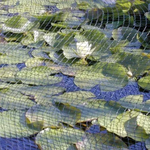 Leaf protection net - 2 x 3 m
