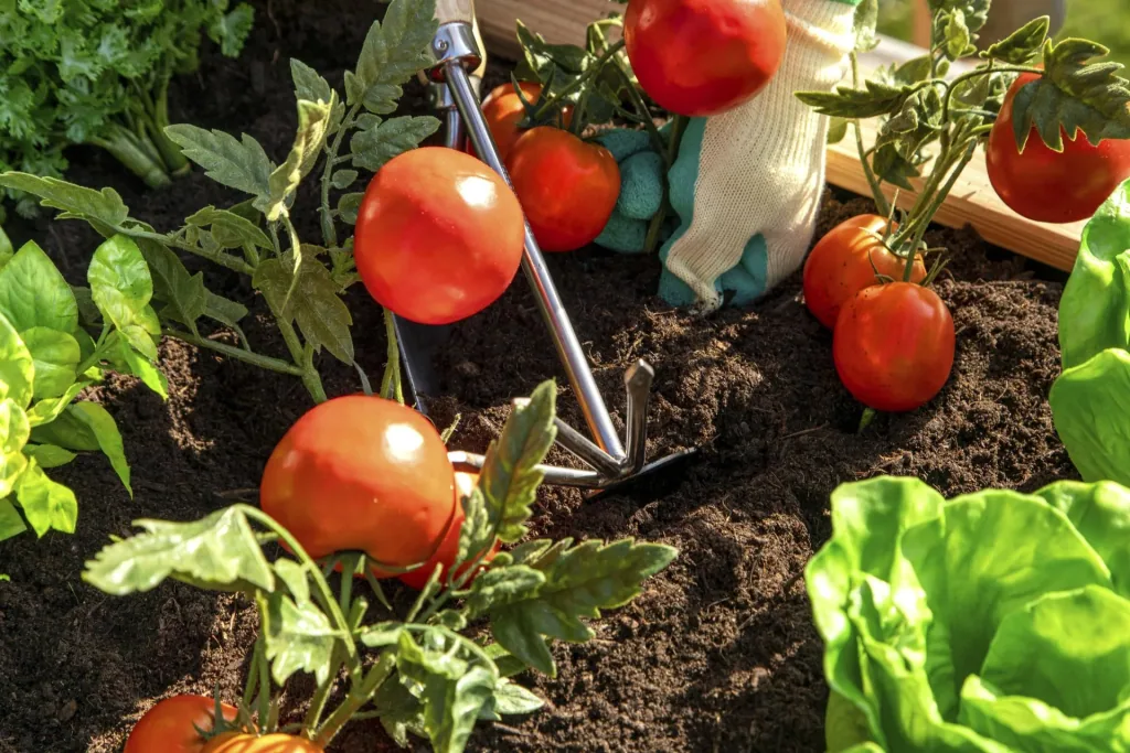 Verhoogde moestuinbak Klassiek 170, 170×90×84 cm, Natuur – FSC-larikshout, rugvriendelijk