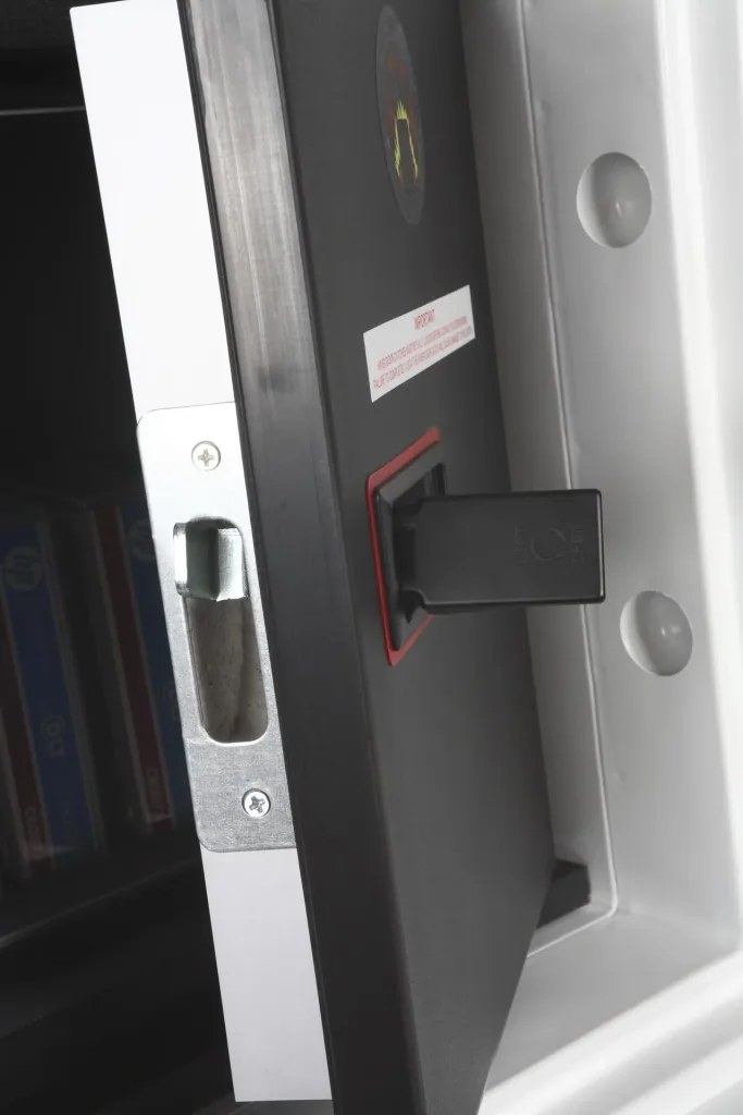 Data protection safe Datacare external dimensions 420 x 350 x 430 mm, with fingerprint lock