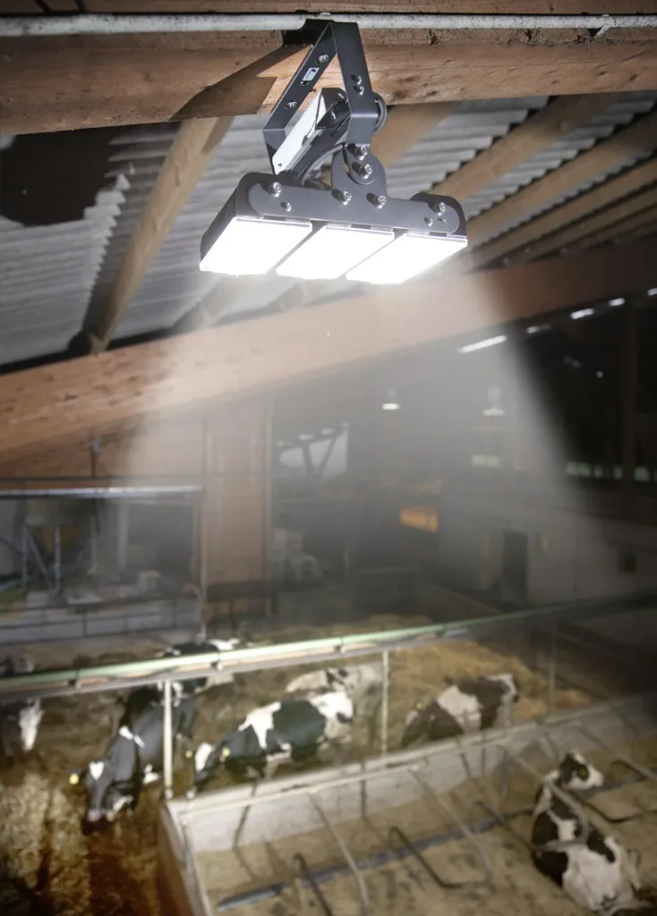 150 W Multi LED stable light, 3 modules 19,500 lumens, IP65 / D-mark
