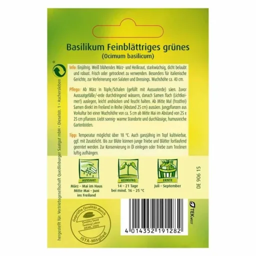 Fijnbladige groene basilicum