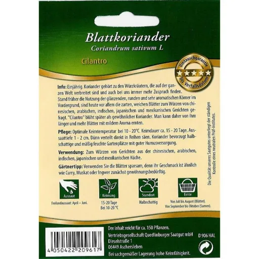 Bladkoriander, Cilantro