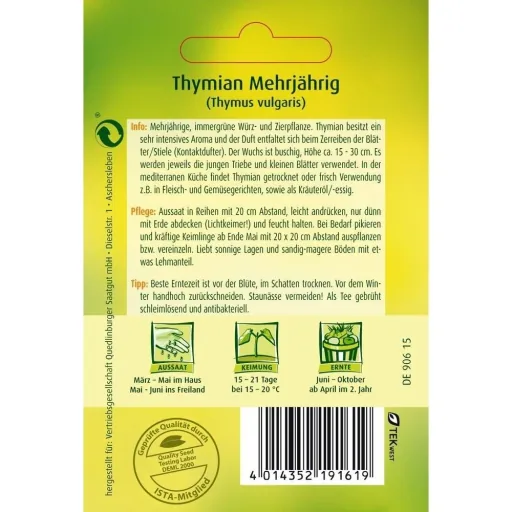 Tijm, meerjarig