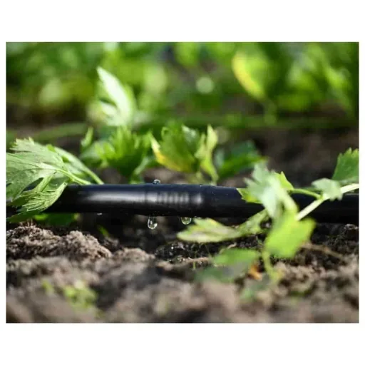Druppelirrigatie Set 50m: Optimale Tuinbesproeiing