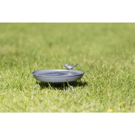 Vogeltränke: Staand Vogelbad voor de Tuin
