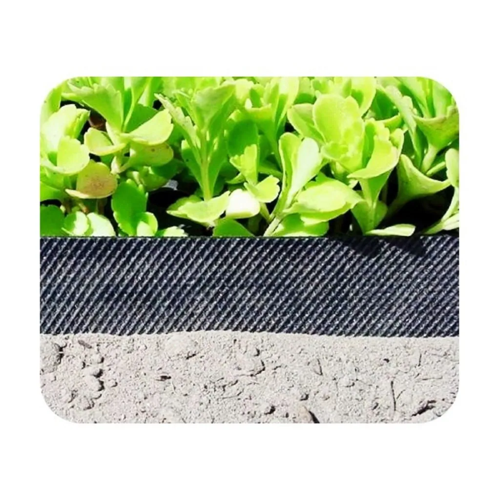 Borderrand van kunststof 10cm x 6m | Gazonrand | Kantopsluiting
