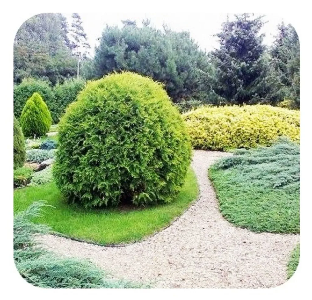 Borderrand van kunststof 10cm x 6m | Gazonrand | Kantopsluiting
