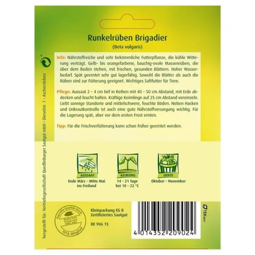 Runkelrübe Brigadier zaden - 25g