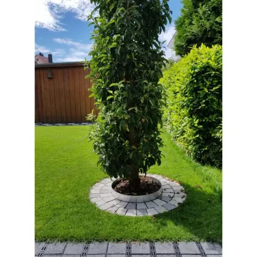 Boomring van aluminium Hoogte 140 mm Diameter 0,6 m | Gazonrand | Kantopsluiting