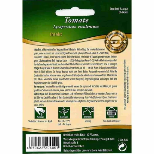 Intakt F1 Tomatenplanten: Robuust & Resistent