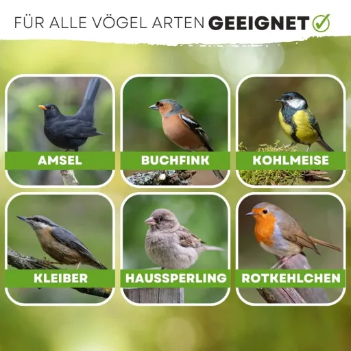 Vogelvoer 20kg, Premium Flocken-Fettfutter met zonnebloempitten en rozijnen, strooivoer vogels