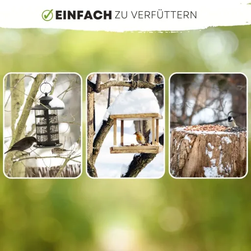 Vogelvoer 20kg, Premium Flocken-Fettfutter met zonnebloempitten en rozijnen, strooivoer vogels