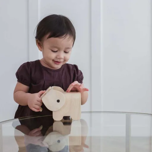 Plan Toys Spaarpot Olifant hout naturel