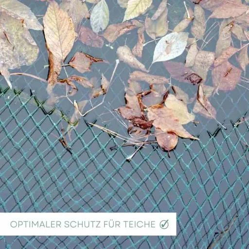 Vijvernet, beschermnet vijver, 2m x 3m (6m²), vogelnet