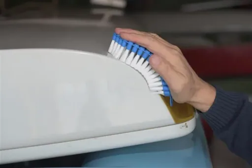 Scheurborstel, Flexibele borstel, Reinigingsborstel, Borstel voor boot