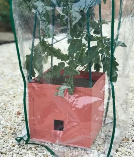 Netafdekking "Maxitom" voor plantentoren met latwerk