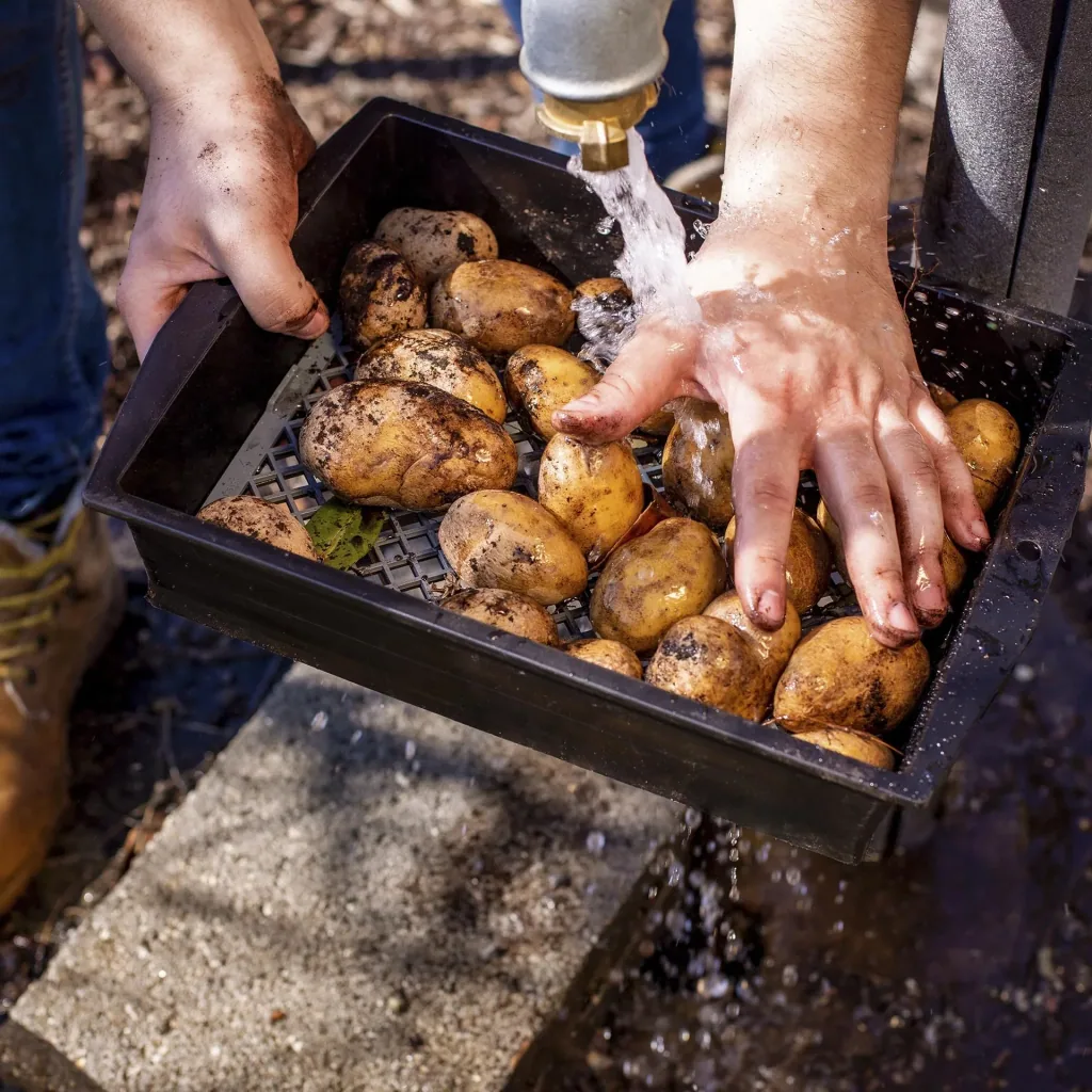 XL tuinzeef 2 in 1 verstelbaar