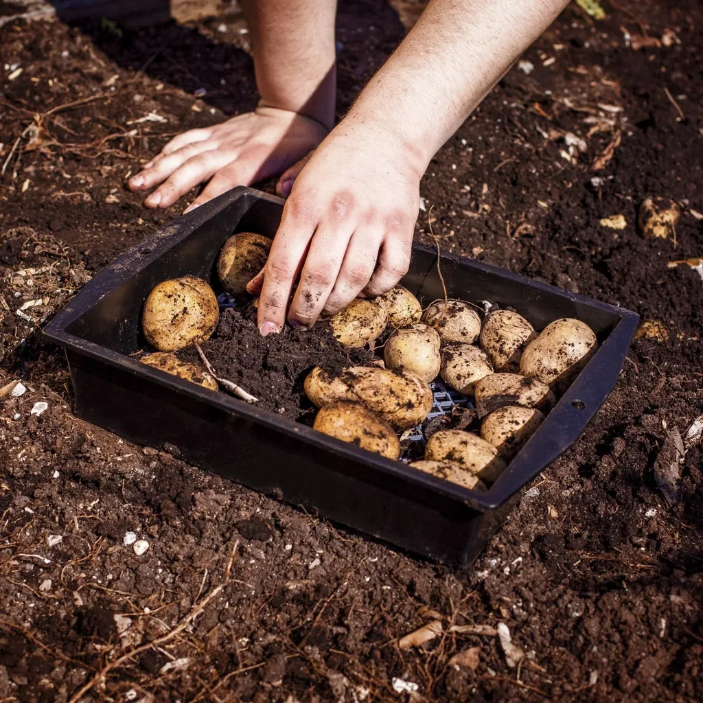 XL tuinzeef 2 in 1 verstelbaar