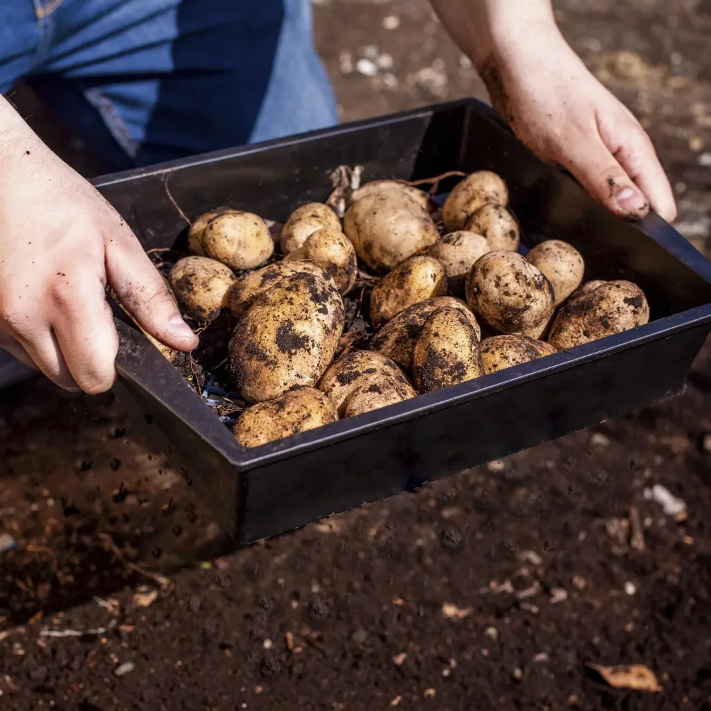 XL tuinzeef 2 in 1 verstelbaar