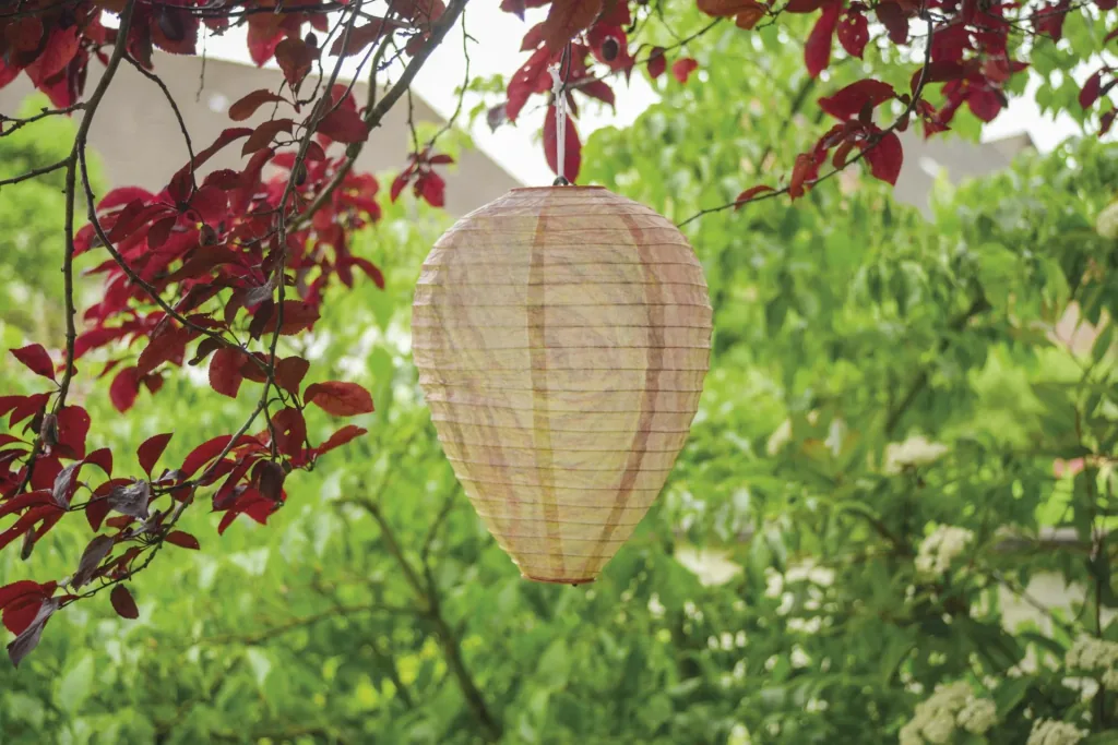 Wespennest-nep, set van 2