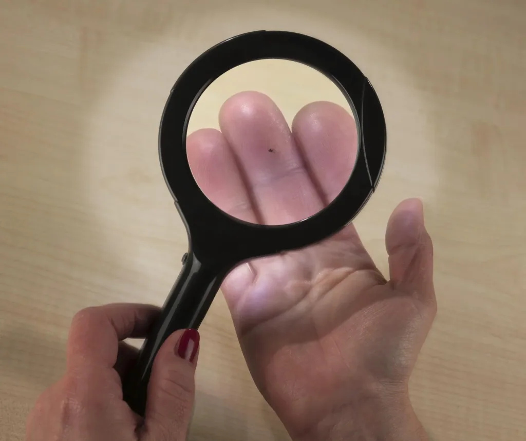 Magnifying glass with 15 LEDs, black