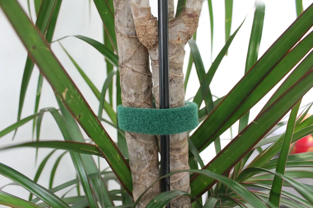 Klittenband plantenbinder, 5 m, groen