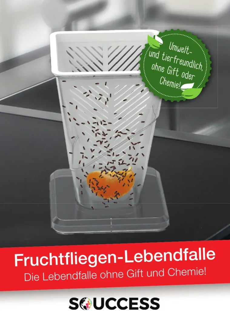 Levendvangende fruitvliegenval