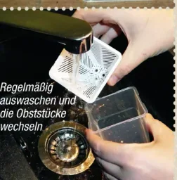 Levendvangende fruitvliegenval