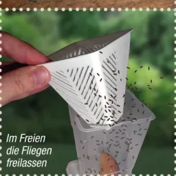 Levendvangende fruitvliegenval