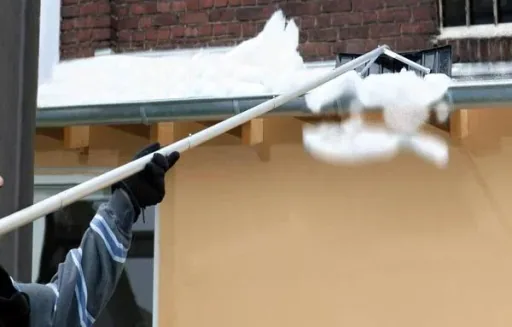 Roof snow remover