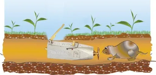 Vole self-shooting device - reliable solution against voles