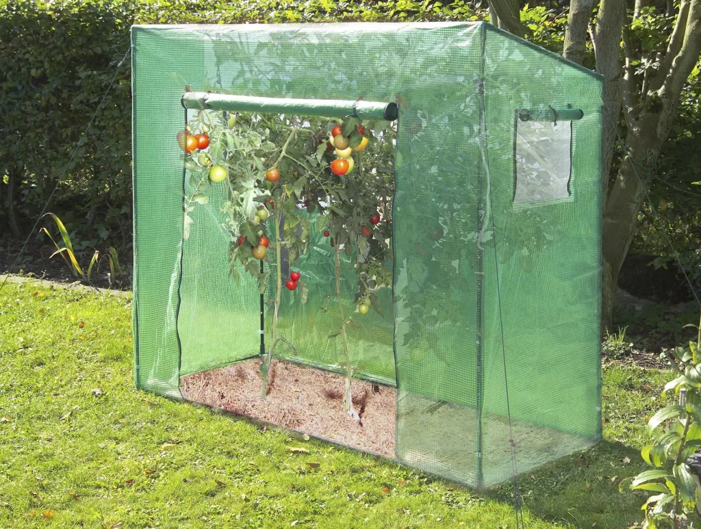 Tomatenkas "Groot", ca. 200 x 77 x 170 cm, L x B x H