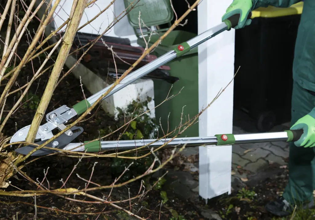 Aambeeld-snoeischaar met ratel en telescoopgreep