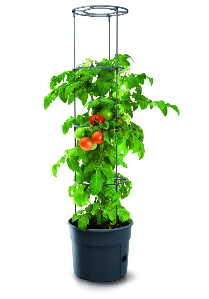 Kweekpot voor tomaten "Grow 2", Ø 392 mm, antraciet
