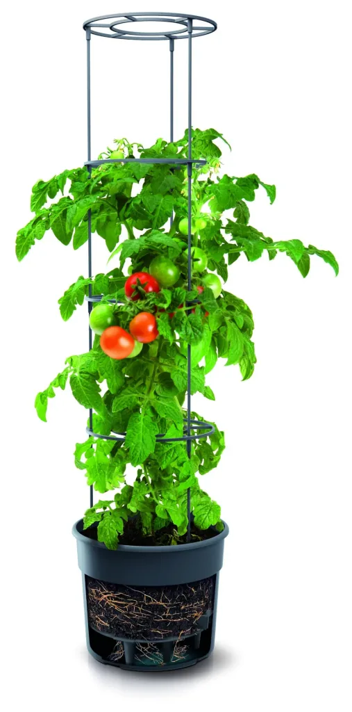 Kweekpot voor tomaten "Grow 2", Ø 392 mm, antraciet