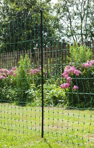 Pluimveegaas 106 cm met dubbele punt, 50 m, niet elektrificeerbaar