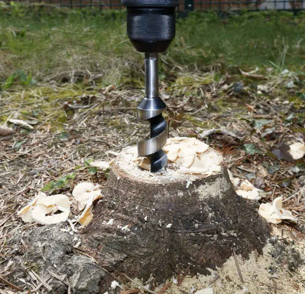 Schroefboor